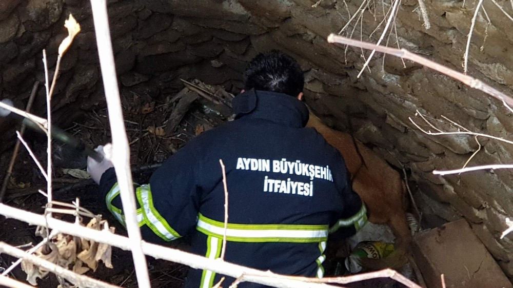 kuyuya dusen kopegi itfaiye kurtardi 3 CApv179f Kuyuya düşen köpeği itfaiye kurtardı