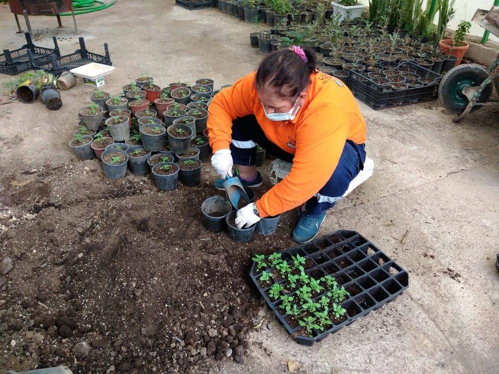 Marmaris’in çiçek seraları 1,5 milyon TL tasarruf sağlıyor 4 marmarisin cicek seralari 15 milyon tl tasarruf sagliyor 1 2fEzFHPQ Marmaris’in çiçek seraları 1,5 milyon TL tasarruf sağlıyor