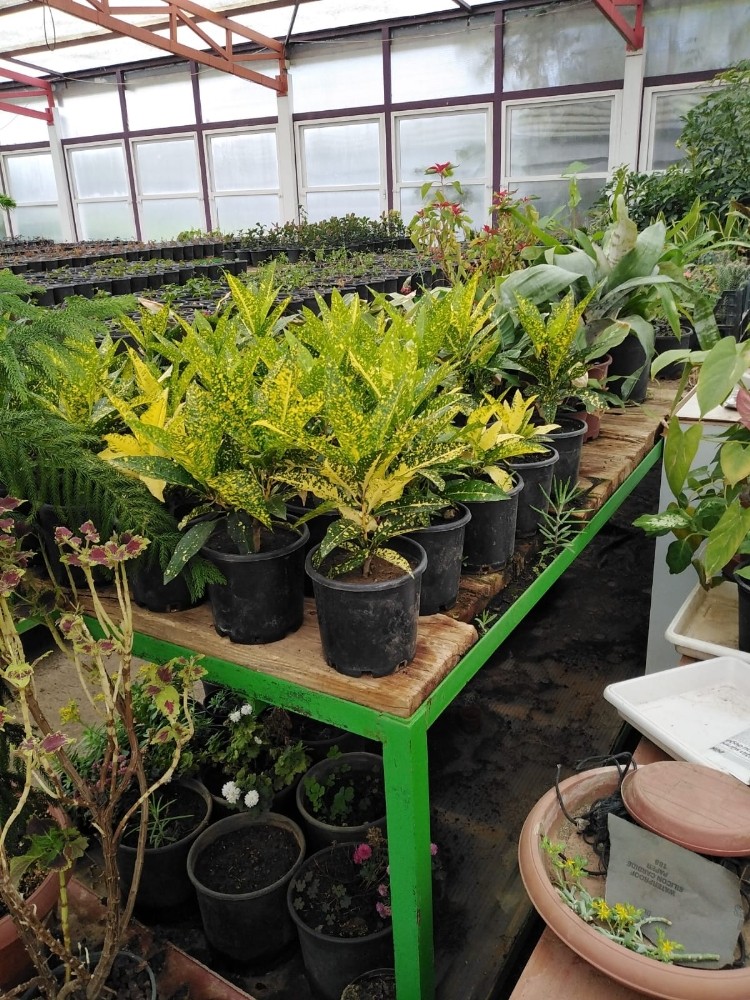 Marmaris’in çiçek seraları 1,5 milyon TL tasarruf sağlıyor 6 marmarisin cicek seralari 15 milyon tl tasarruf sagliyor 3 mK8NDX18 Marmaris’in çiçek seraları 1,5 milyon TL tasarruf sağlıyor