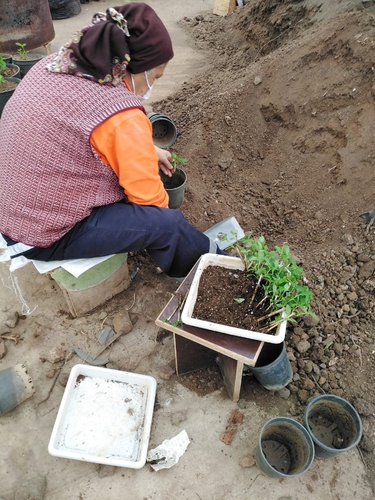 Marmaris’in çiçek seraları 1,5 milyon TL tasarruf sağlıyor 9 marmarisin cicek seralari 15 milyon tl tasarruf sagliyor 6 ubEPaOVY Marmaris’in çiçek seraları 1,5 milyon TL tasarruf sağlıyor