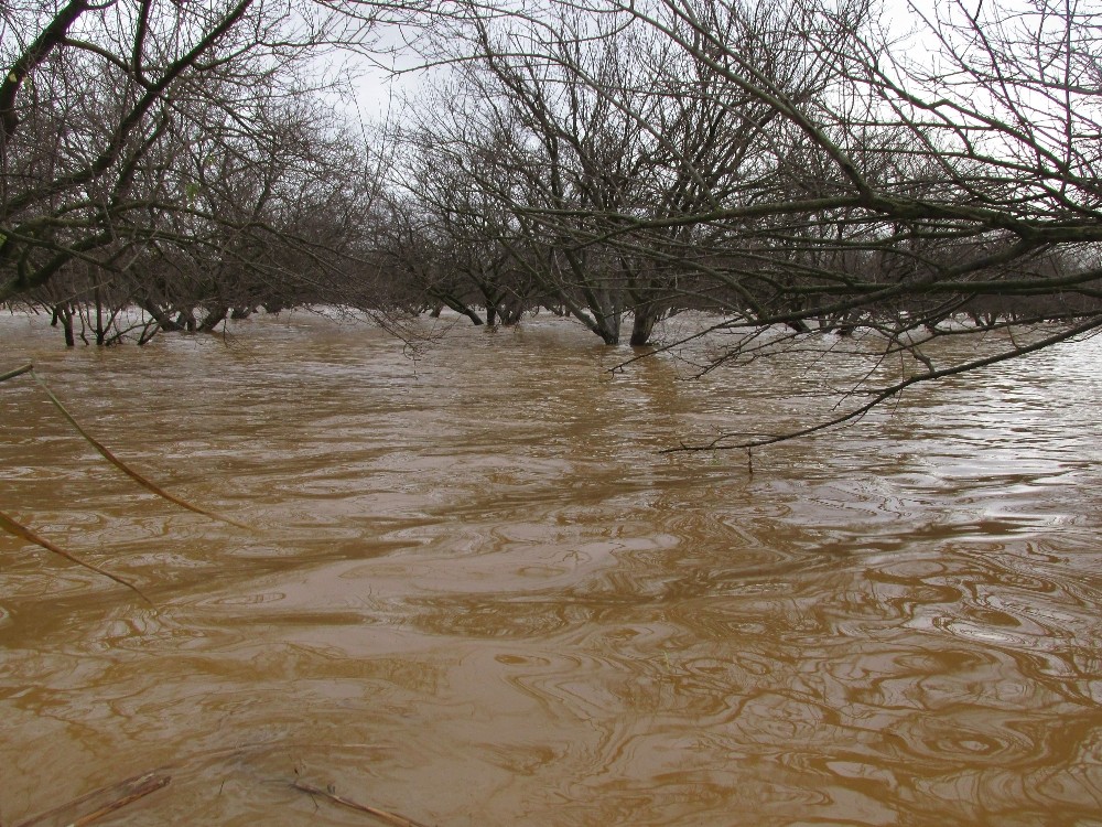 menderes nehri alarm vermeye basladi 2 pQcc91tY Menderes Nehri alarm vermeye başladı