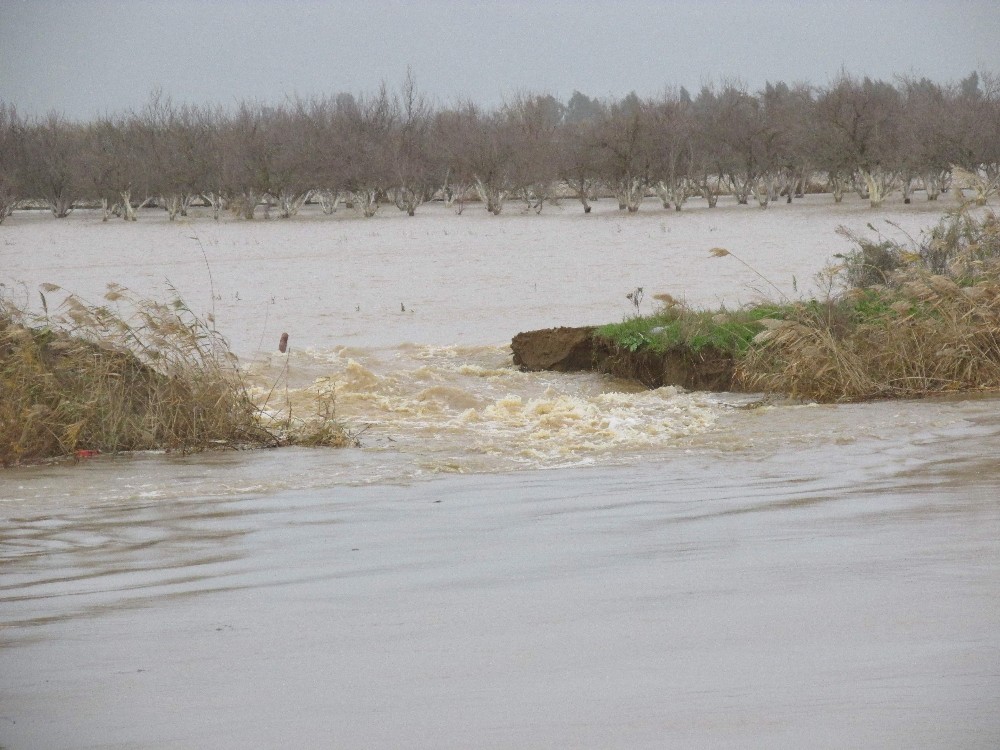 menderes nehri alarm vermeye basladi 5 fakgfw7b Menderes Nehri alarm vermeye başladı