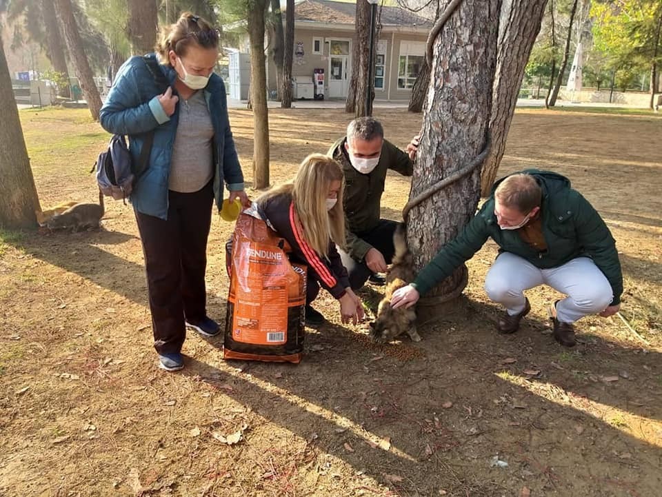 sokaga cikma kisitlamasinda aydindaki sokak hayvanlari yalniz birakilmadi 3 wGPuJHZX Sokağa çıkma kısıtlamasında Aydın’daki sokak hayvanları yalnız bırakılmadı