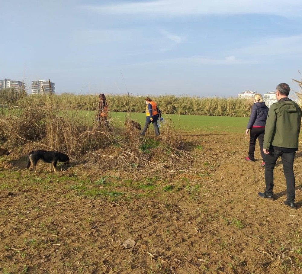 sokaga cikma kisitlamasinda aydindaki sokak hayvanlari yalniz birakilmadi 5 VjYcwnVI Sokağa çıkma kısıtlamasında Aydın’daki sokak hayvanları yalnız bırakılmadı