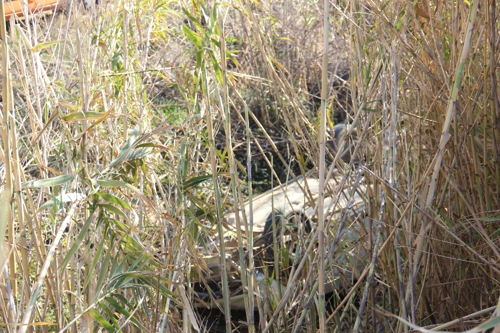 tarlada calisan ciftci mergen cayina ucan surucunun hayatini kurtardi 3 ReeXOvEE Tarlada çalışan çiftçi, Mergen çayına uçan sürücünün hayatını kurtardı