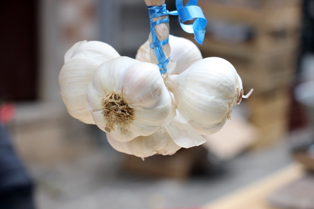 asilar turkiyeye geldi sarimsagin da atesi dustu 1 6ifBLcnB Aşılar Türkiye’ye geldi sarımsağın da ateşi düştü