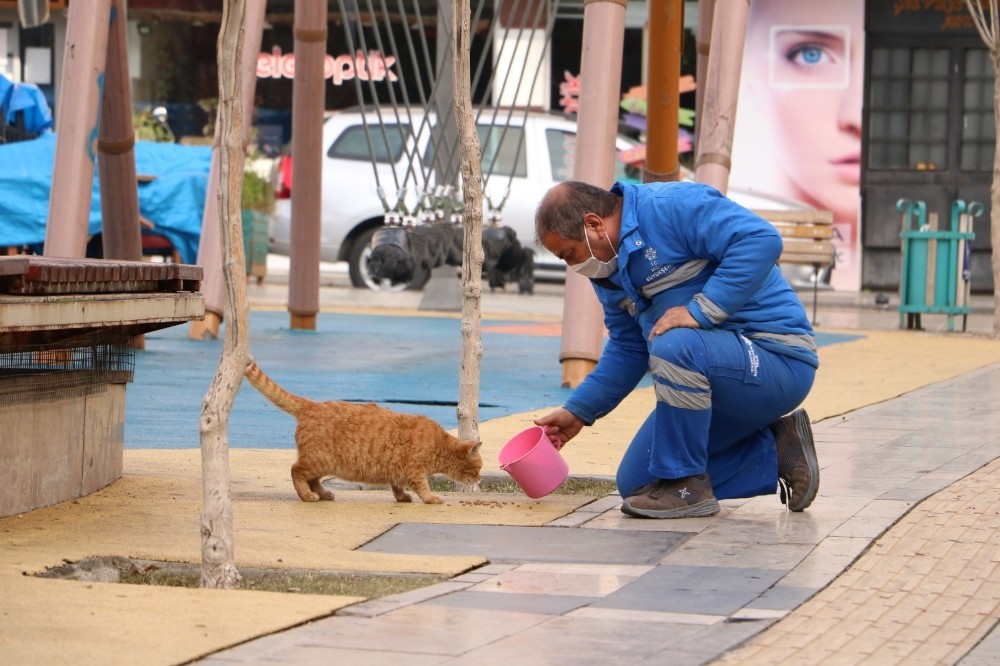 buyuksehir can dostlari unutmadi 1 MC22iSFQ Büyükşehir can dostları unutmadı