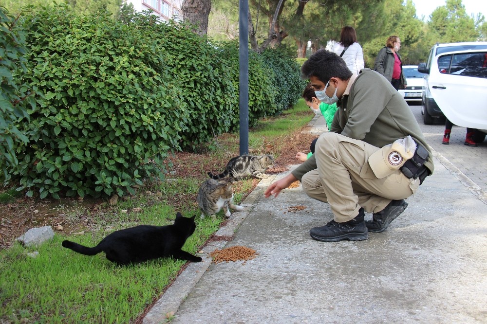 can dostlari elleri ile beslediler 4 NjOnMOu9 Can dostları elleri ile beslediler