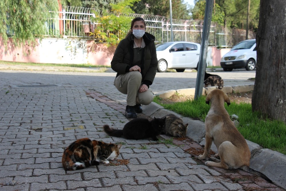 can dostlari elleri ile beslediler 6 Lk9ISMhX Can dostları elleri ile beslediler