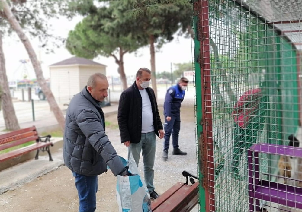 Didim Belediyesi’nden besleme çalışması 2 didim belediyesinden besleme calismasi 2 WWDQFNLh Didim Belediyesi’nden besleme çalışması