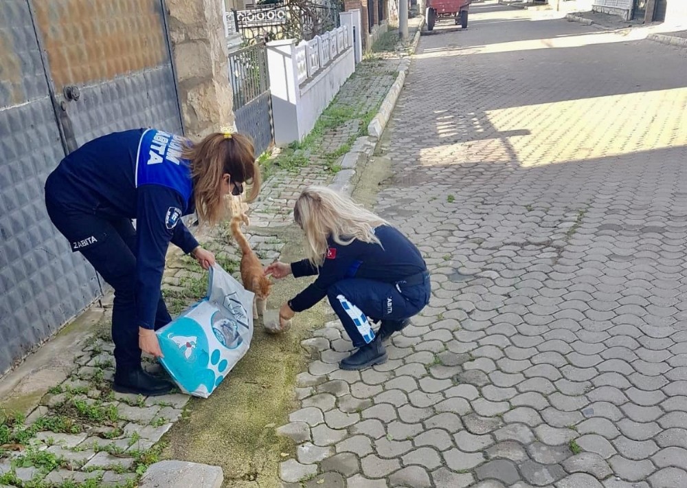 Didim Belediyesi’nden besleme çalışması 3 didim belediyesinden besleme calismasi 3 Unkn6f2t Didim Belediyesi’nden besleme çalışması