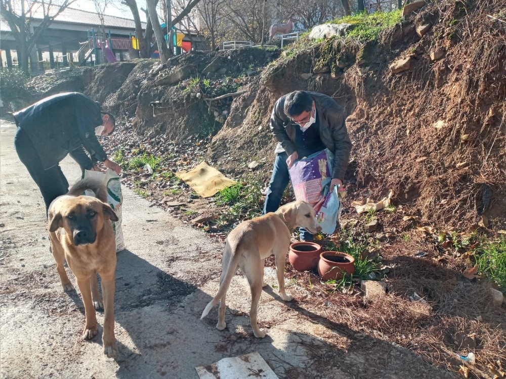karacasuda baskan inal can dostlari unutmadi 1 qZpzH2Nh Karacasu’da Başkan İnal can dostları unutmadı