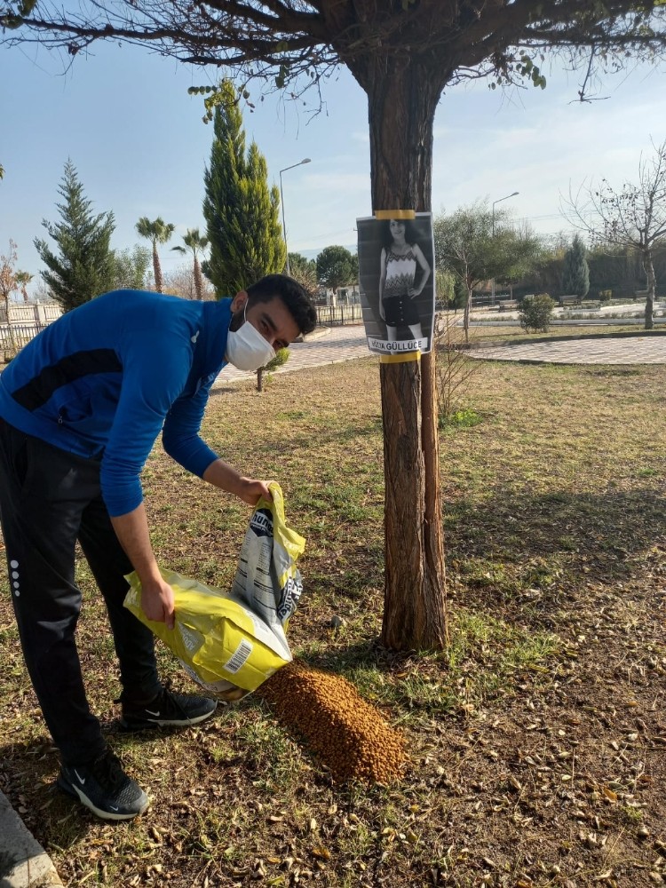 nazillide hayvanseverler kadina siddete dikkat cekti 3 a5F29YDk Nazilli’de hayvanseverler kadına şiddete dikkat çekti