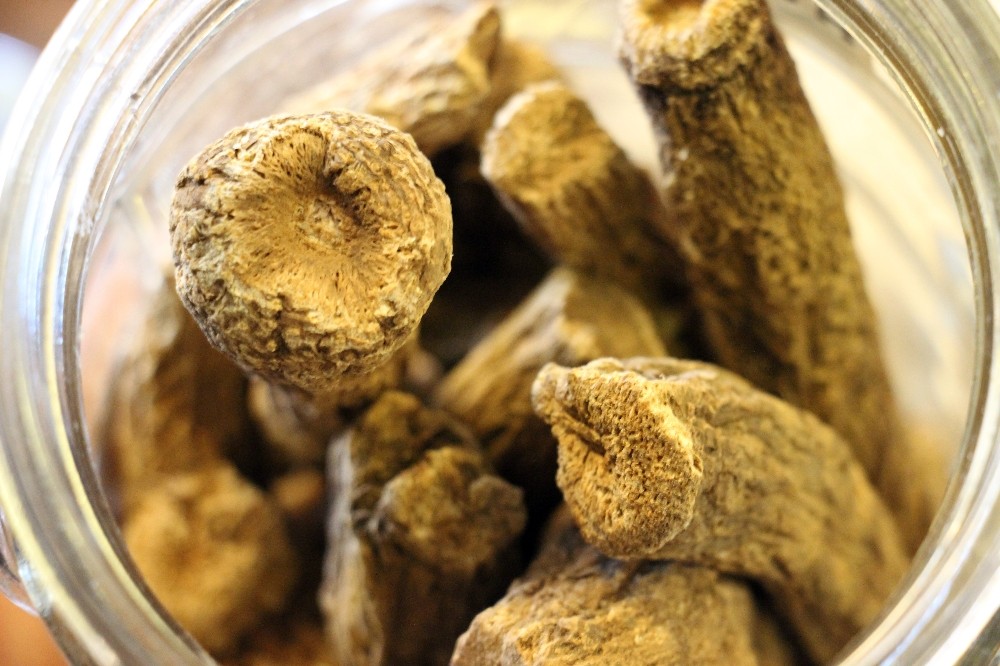 yeryuzunun en guclu antibiyotigi udi hindi 2 G1rwwE3O Yeryüzünün en güçlü antibiyotiği: ’Udi hindi’