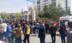 17762727571971926033