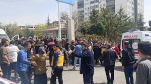 17762727571971926033